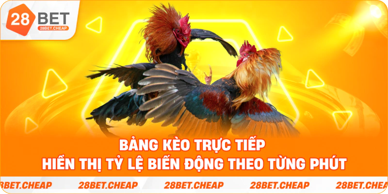 Bảng kèo trực tiếp hiển thị tỷ lệ biến động theo từng phút