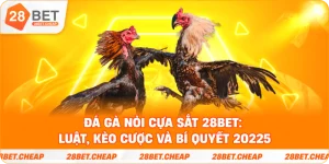 Đá gà nòi cựa sắt 28BET – không khí sôi động tại trường