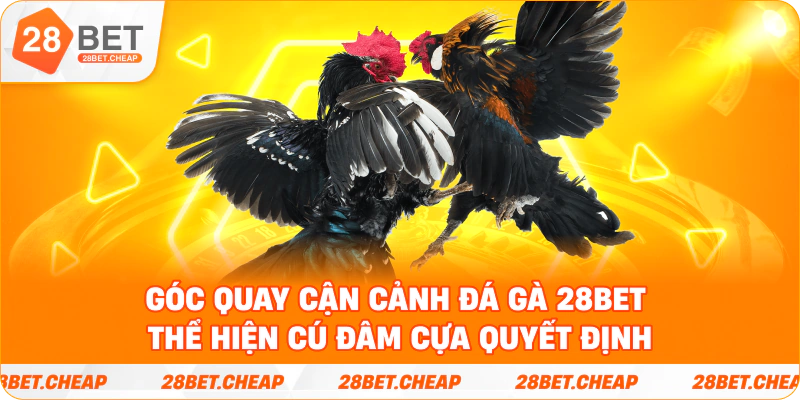 Góc quay cận cảnh Đá Gà 28BET thể hiện cú đâm cựa quyết định