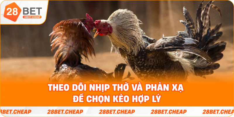 Theo dõi nhịp thở và phản xạ để chọn kèo hợp lý